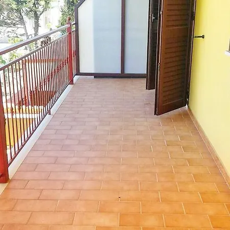 Il Fenicottero Rosa *